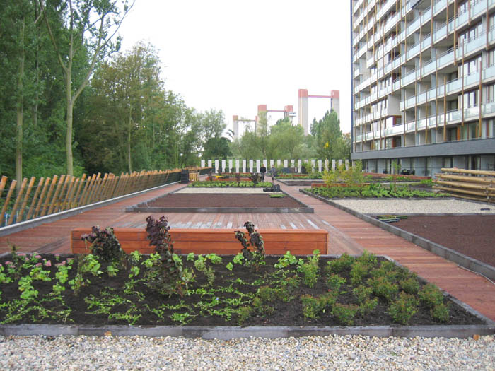 DKV_Noorderbaken_03